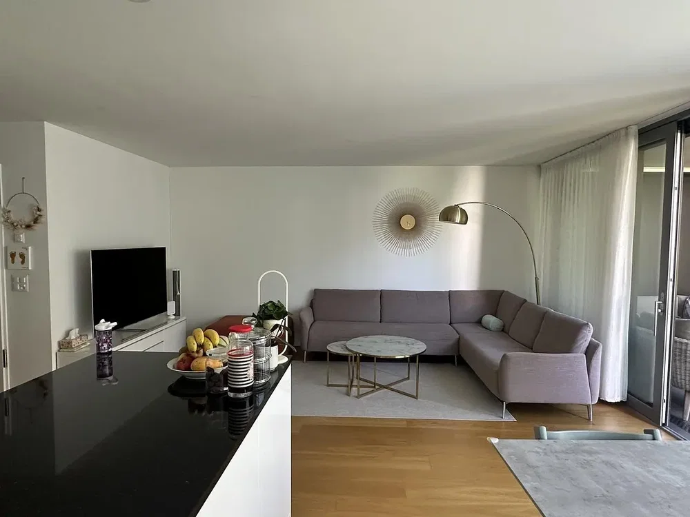 Soggiorno; luce naturale, pavimento in legno, stile moderno