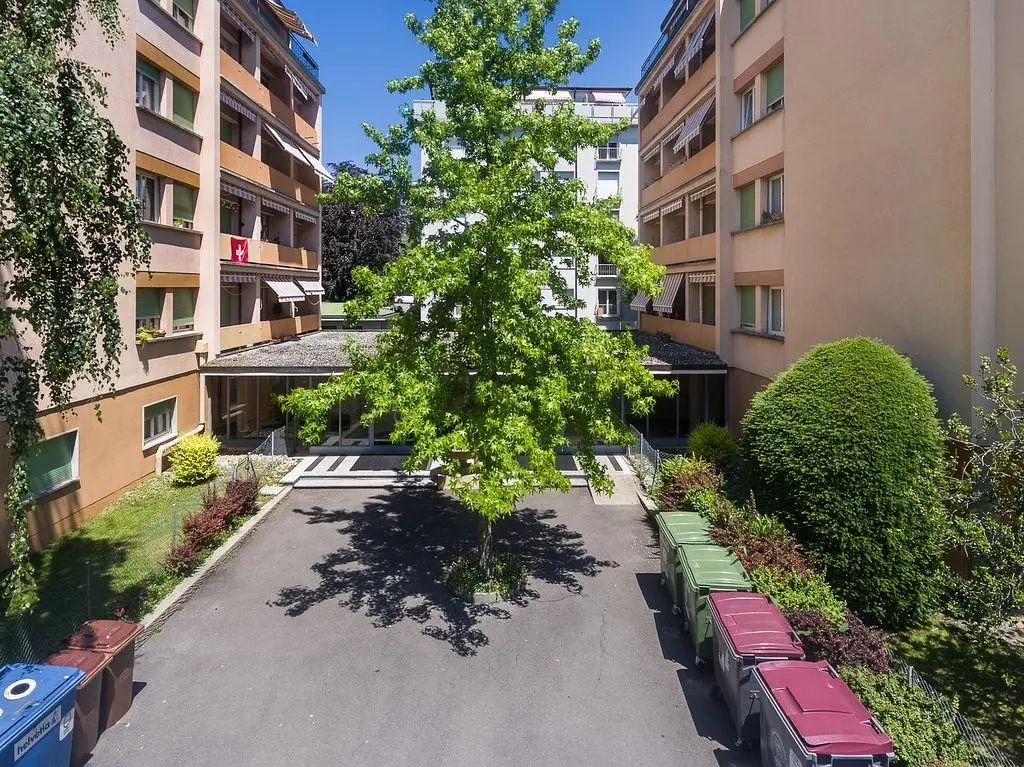 Haus und umgebung; tageslicht