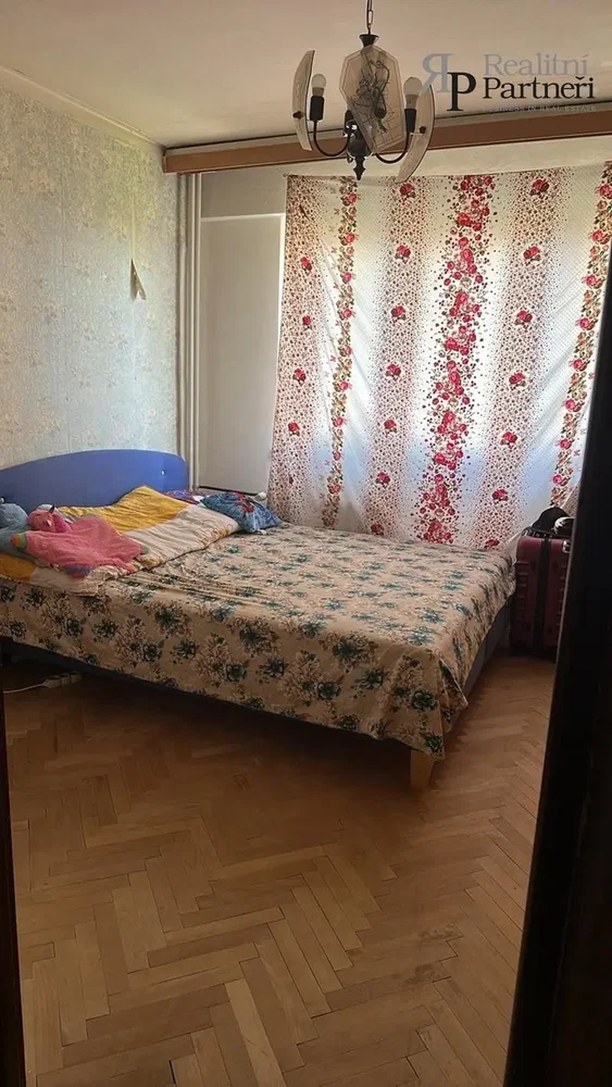 Bedroom; wood floor, natural light