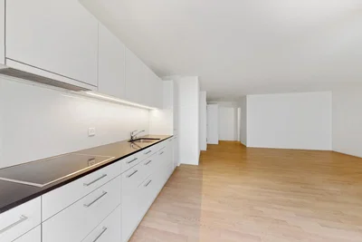Keuken; keukenapparatuur, houten vloer, natuurlijk licht, moderne stijl, gerenoveerd