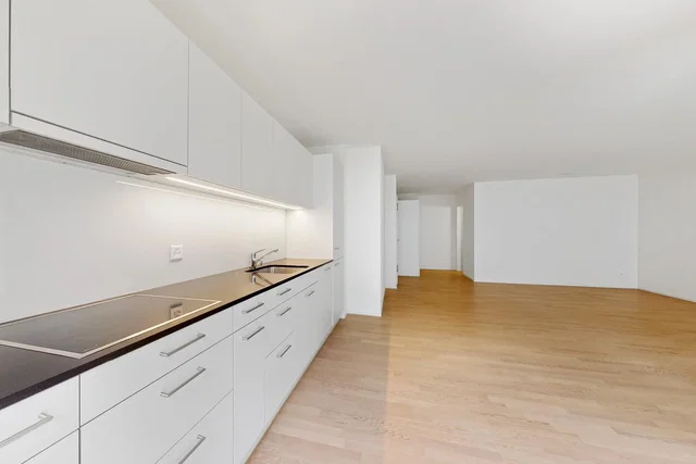 Keuken; keukenapparatuur, houten vloer, natuurlijk licht, moderne stijl, gerenoveerd