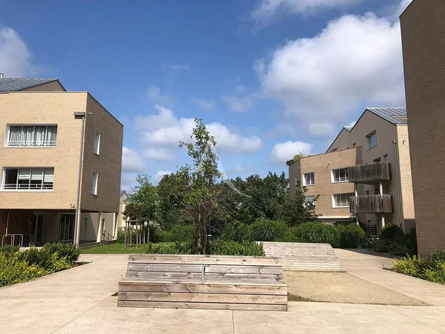 House and surroundings; natural light, view