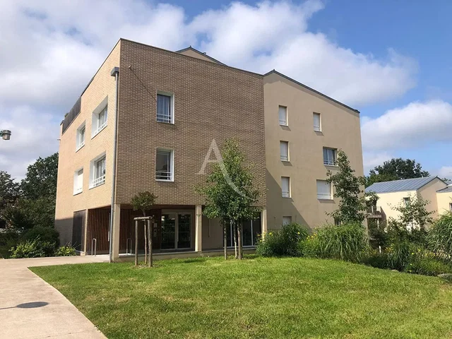 House and surroundings