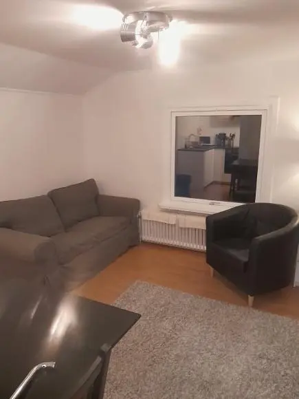 Salon; parquet, lumière naturelle