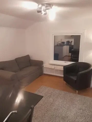 Salon; parquet, lumière naturelle