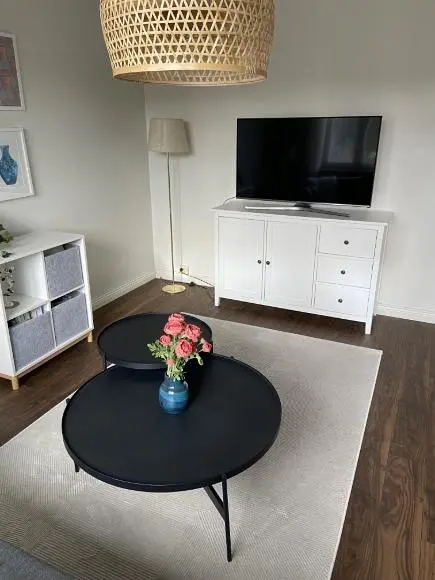 Salon; parquet, lumière naturelle, style moderne