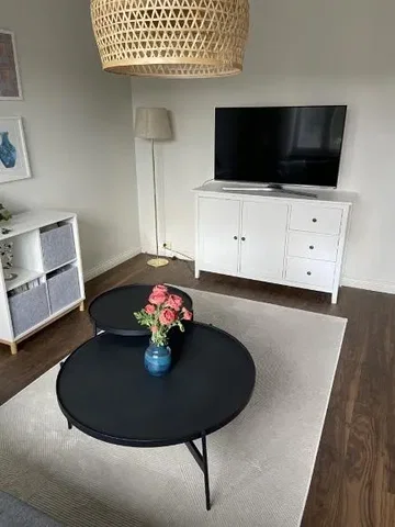 Salon; parquet, lumière naturelle, style moderne