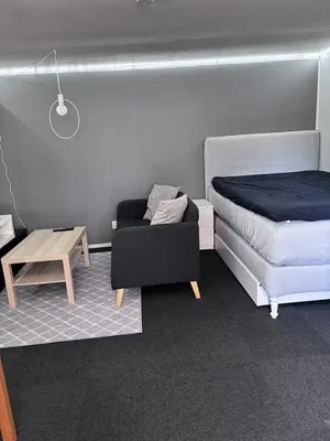 Camera da letto; stile moderno, pavimento in legno, luce naturale