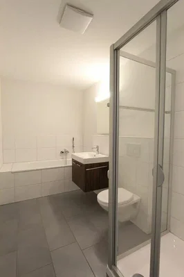 Koupelna; dlažba, po rekonstrukci, přirozené světlo
