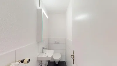 Toilette; fliesenboden, tageslicht
