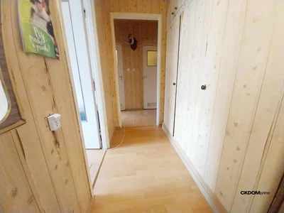 Autre; parquet, poutres en bois, lumière naturelle