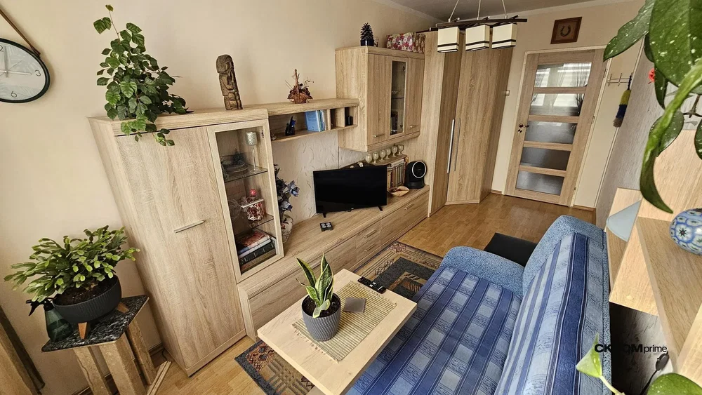 Oturma odası; ahşap zemin, doğal ışık, modern stil