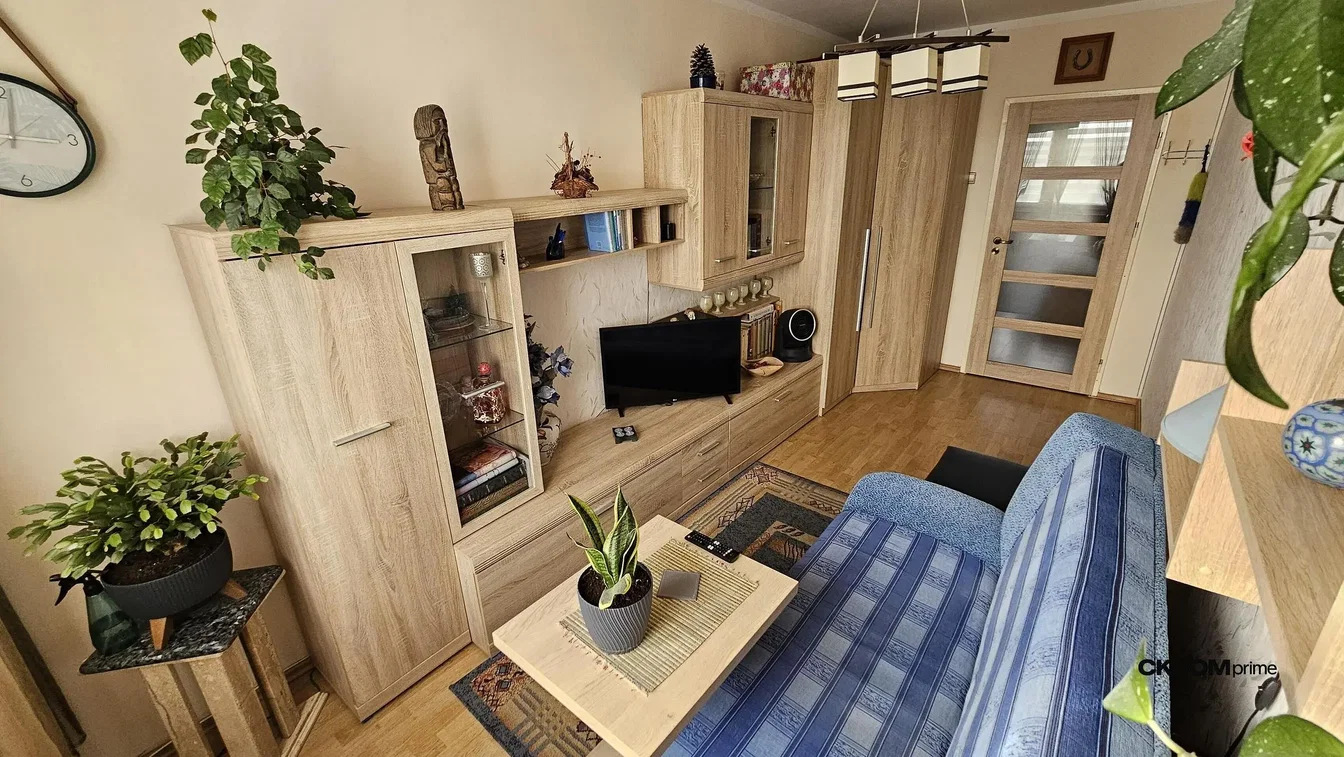 Oturma odası; ahşap zemin, doğal ışık, modern stil