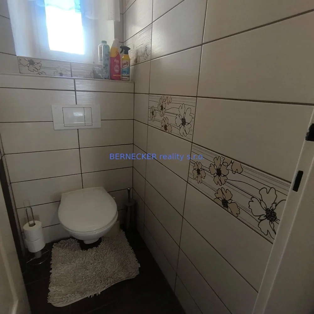 Toilette; fliesenboden, tageslicht
