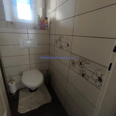 Toilette; fliesenboden, tageslicht