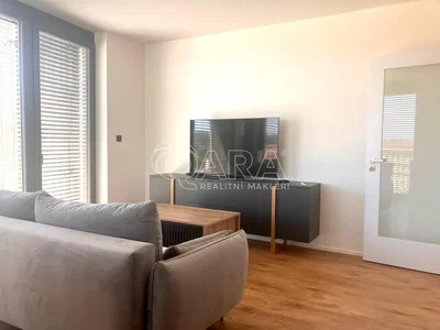 Living room; natural light, wood floor