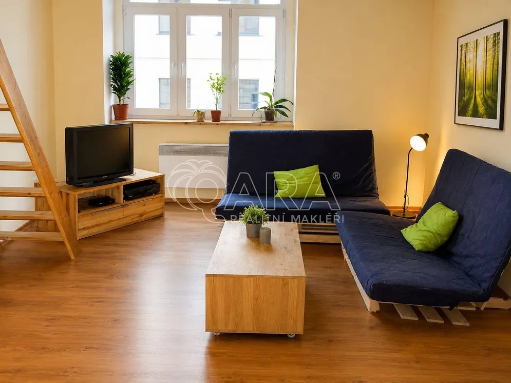 Living room; wood floor, natural light, modern style