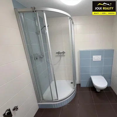 Toilet; tile floor, renovated, natural light