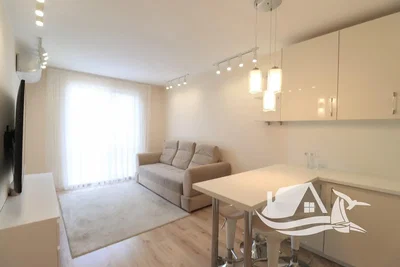 Living room; natural light, wood floor, modern style