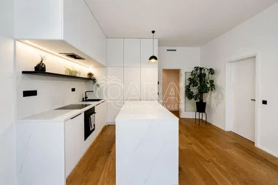 Cucina; elettrodomestici, pavimento in legno, ristrutturato, luce naturale