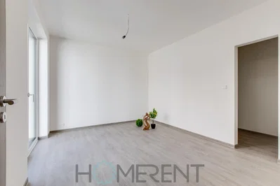 Other; natural light, wood floor