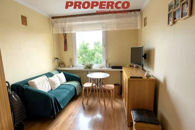 Living room; wood floor, natural light, modern style