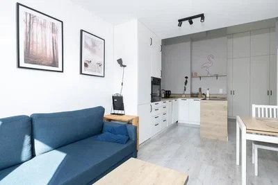 Oturma odası; doğal ışık, modern stil, mutfak aletleri