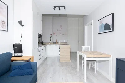Woonkamer; keukenapparatuur, houten vloer, natuurlijk licht, moderne stijl