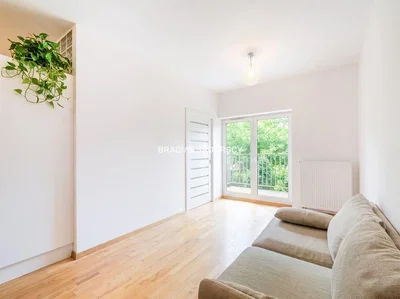 Living room; wood floor, natural light