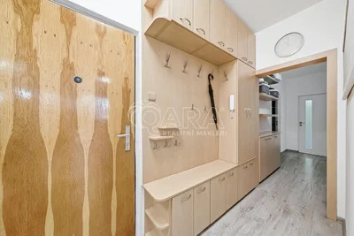 Garderobe; holzboden, renoviert, tageslicht