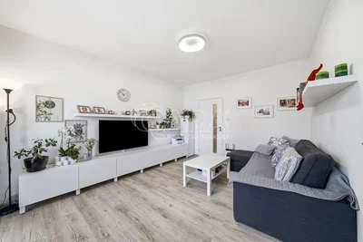 Wohnzimmer; holzboden, tageslicht, moderner stil