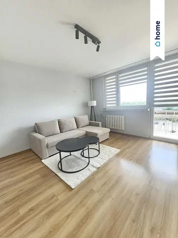 Salon; światło dzienne, podłoga drewniana, styl nowoczesny