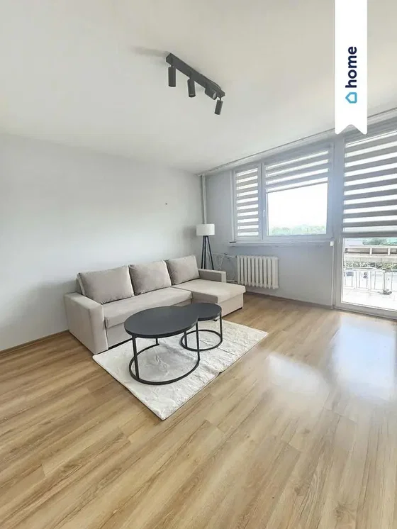 Salon; światło dzienne, podłoga drewniana, styl nowoczesny