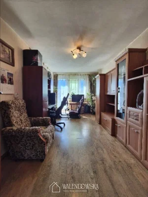 Living room; wood floor, natural light