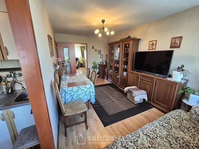 Living room; wood floor, natural light, rustic style