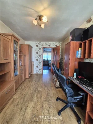 Other; wood floor, natural light