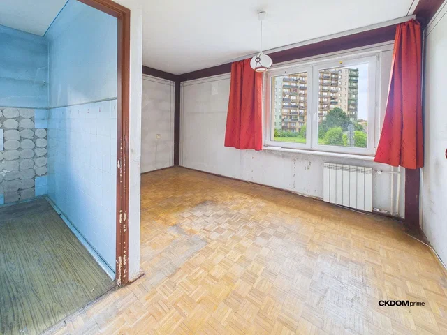 Other; needs renovation, wood floor