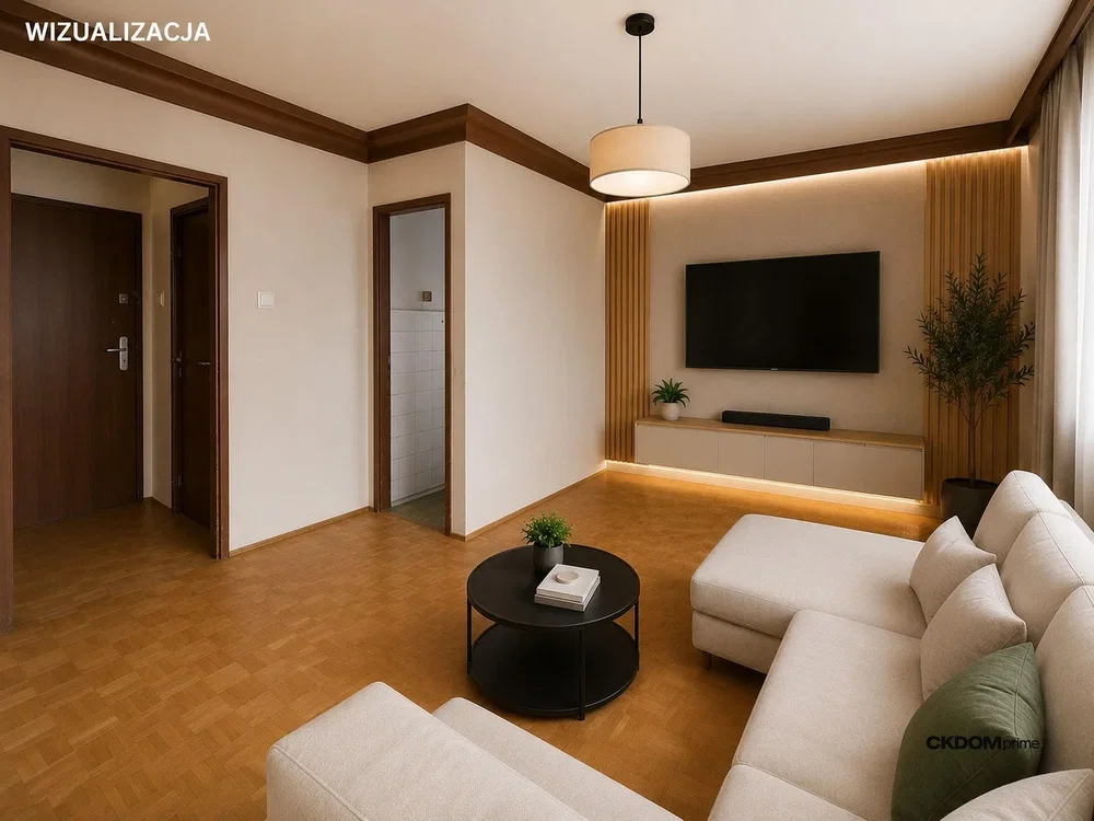 Living room; natural light, modern style, wood floor