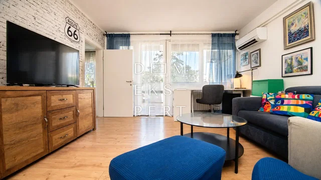 Living room; wood floor, natural light, modern style