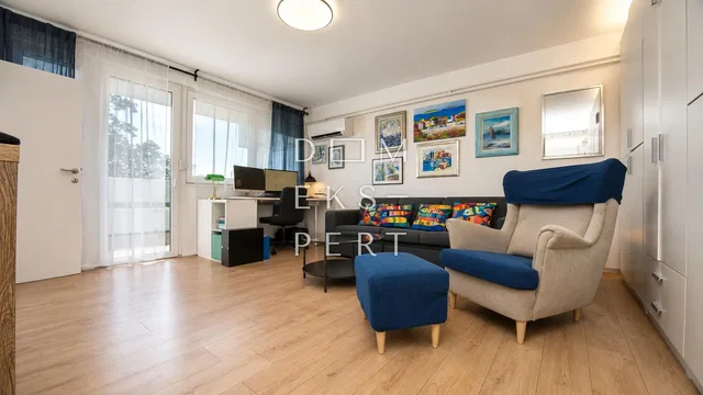 Living room; wood floor, natural light, modern style
