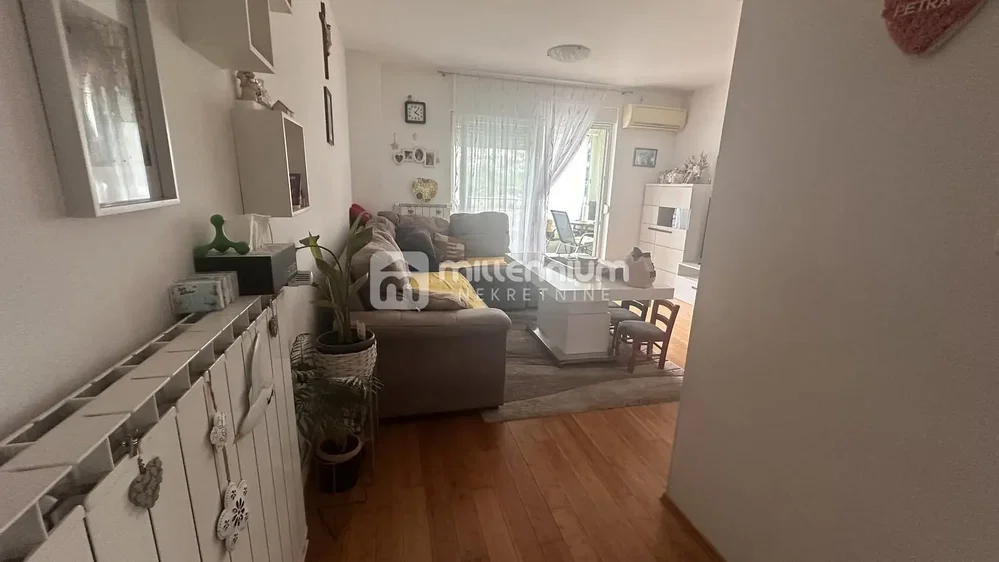 Living room; natural light, wood floor