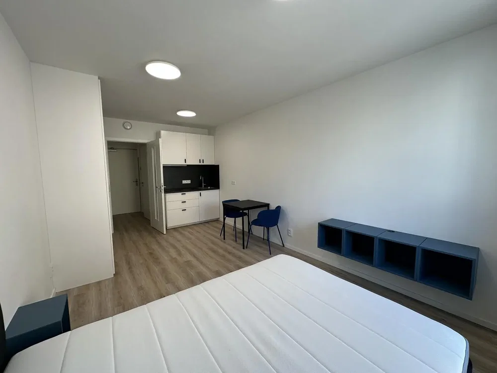 Bedroom; natural light, wood floor