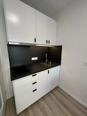 Kitchen; kitchen appliances, wood floor, renovated, natural light