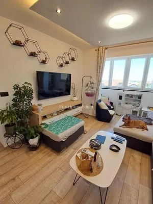 Salon; lumière naturelle, parquet, style moderne