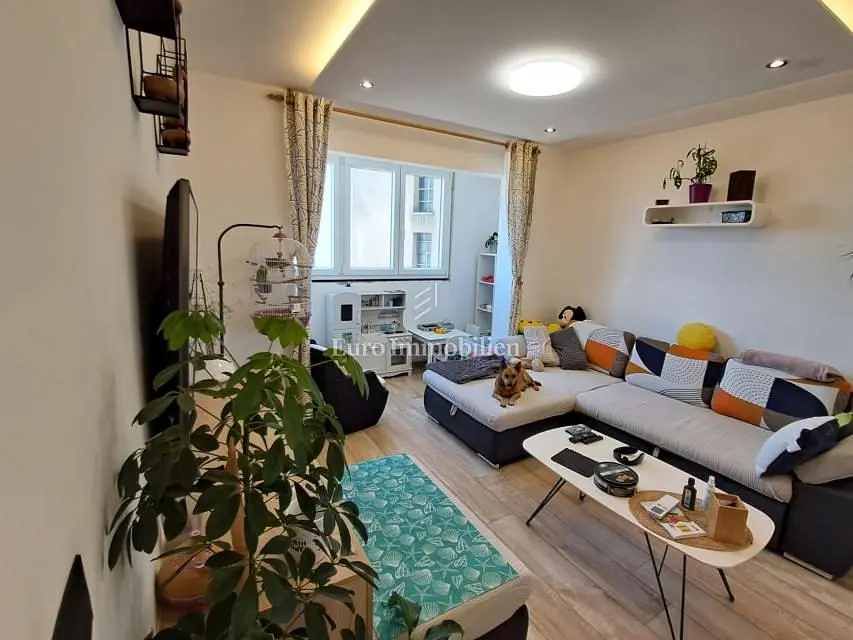 Salon; parquet, lumière naturelle, style moderne
