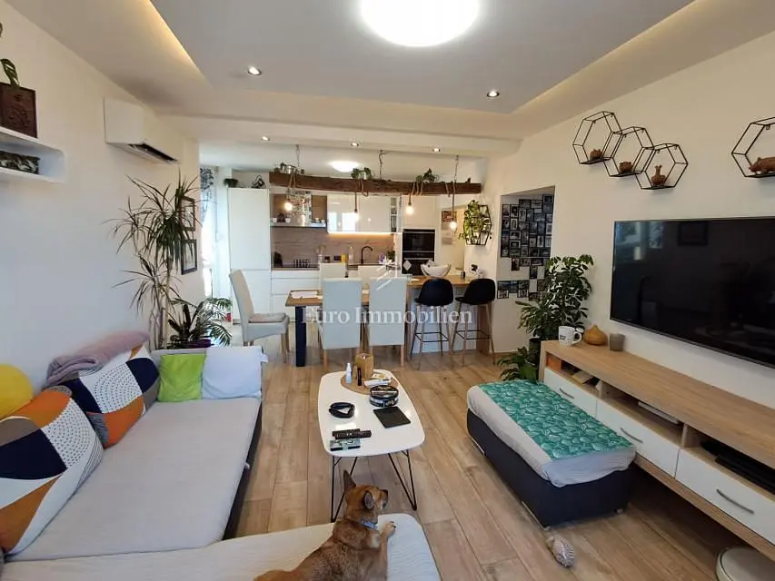 Salon; parquet, lumière naturelle, style moderne, rénové