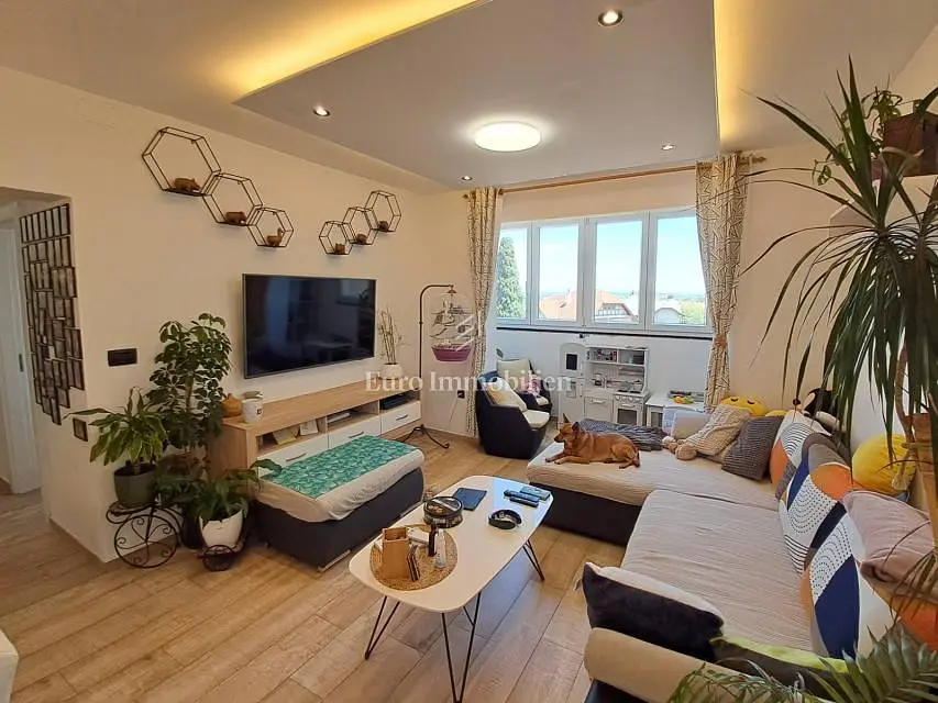Salon; lumière naturelle, style moderne, parquet