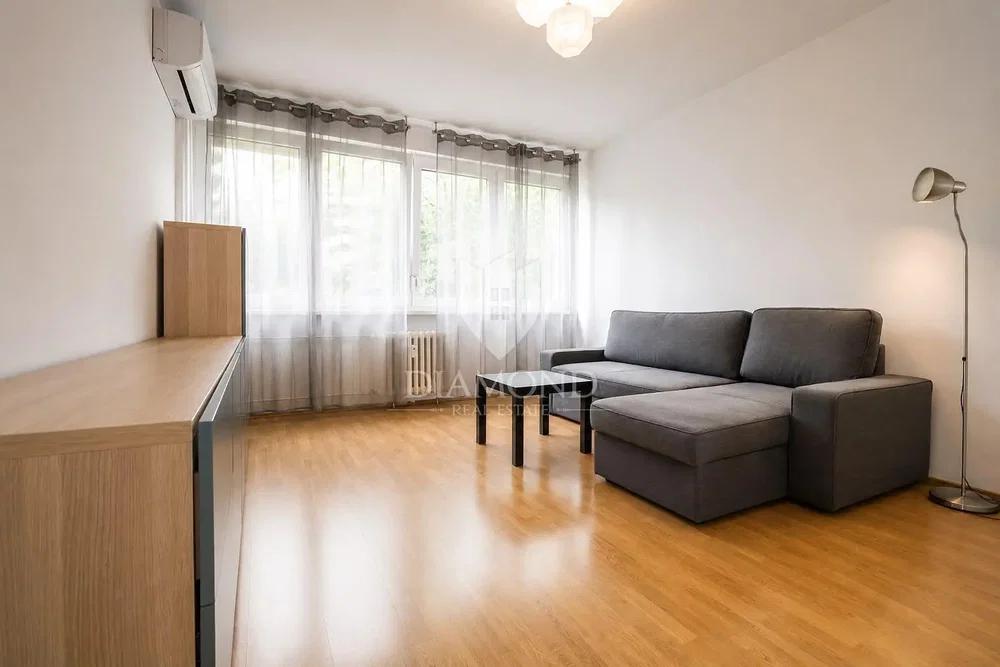 Salon; parquet, lumière naturelle