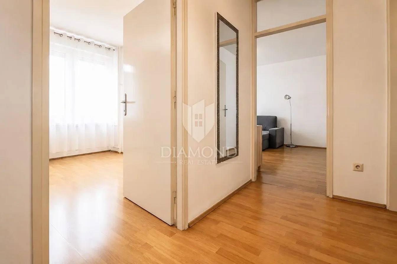 Salon; parquet, lumière naturelle