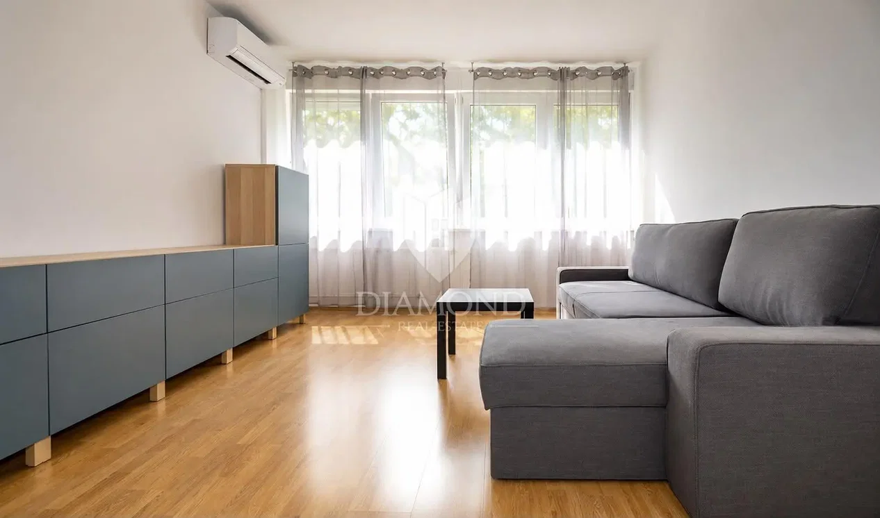 Salon; parquet, lumière naturelle, style moderne